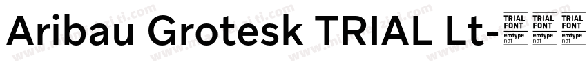 Aribau Grotesk TRIAL Lt字体转换